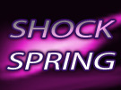 Shocks & Spring