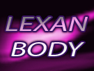 Lexan Car Body